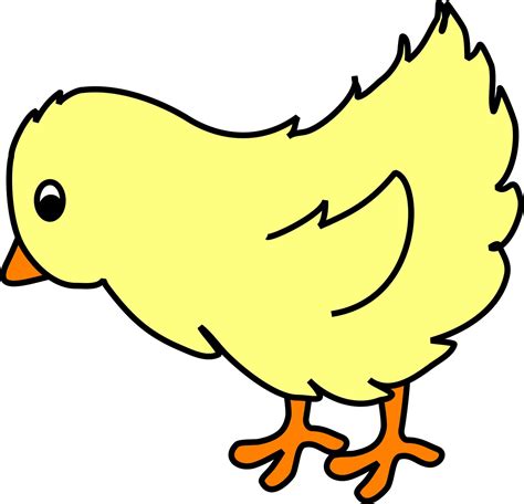 chicks clip art|free clip art images chicken.